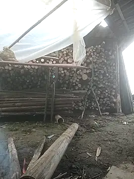 cutebobi online show from 02.03.26