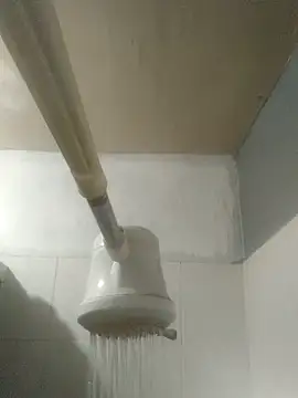 TU PITUDO FAV BB 19CM online show from 03.02.26