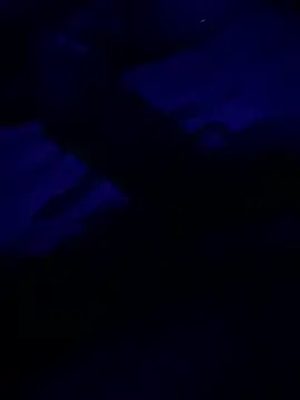 InsistedSeagrass online show from 03.17.26