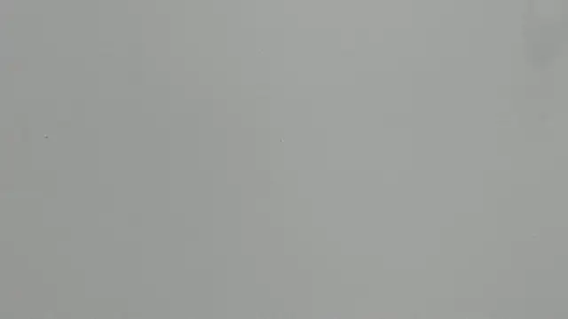 Ashley Ebony   online show from 02.18.26