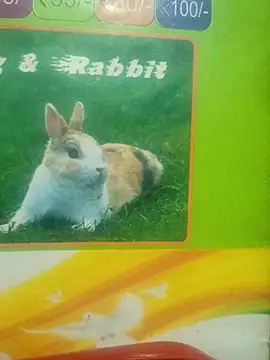 Snapshot of Lovable_dude chatting on 03.12.26 Lovable dude online show from 03.12.26