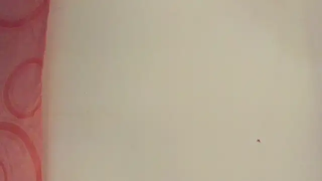 Snapshot of Melanie__Evans chatting on 05.15.26 Melanie Evans online show from 05.15.26
