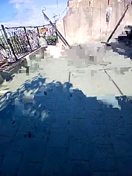 Luzz12 online show from 03.17.26