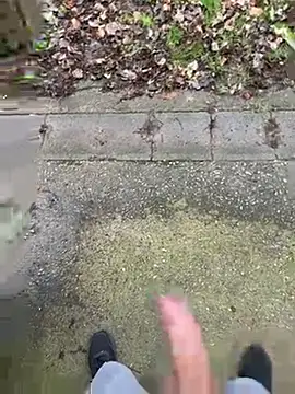 FrankdieSchwuchtel online show from 03.11.26