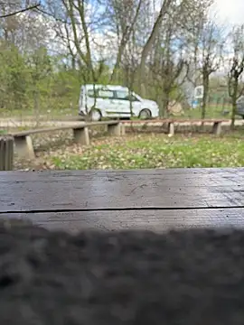 FrankdieSchwuchtel online show from 03.21.26