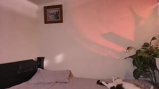 slowburnmystic online show from 06.11.26
