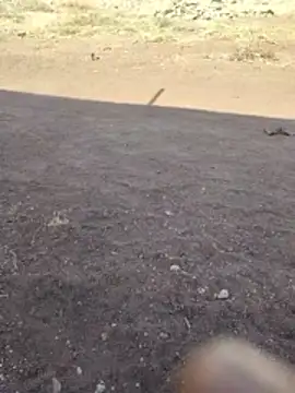 PrivateMeetX online show from 04.26.26