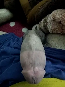 amirMohamed58 online show from 02.23.26