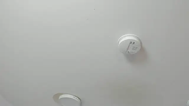 Maddie Rosee online show from 03.14.26