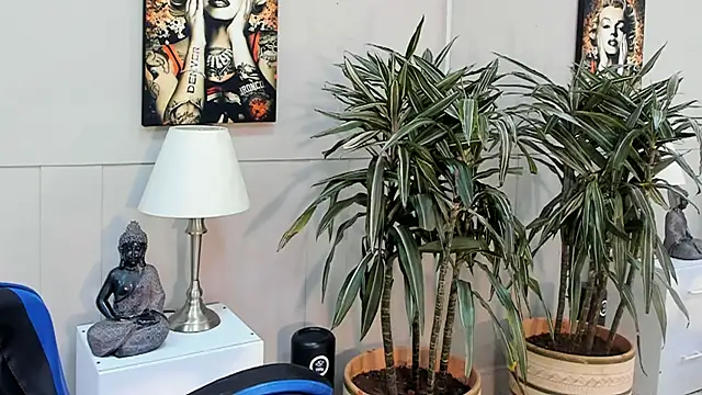 kai storn online show from 05.20.26