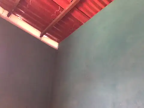 the black 23cm online show from 04.02.26