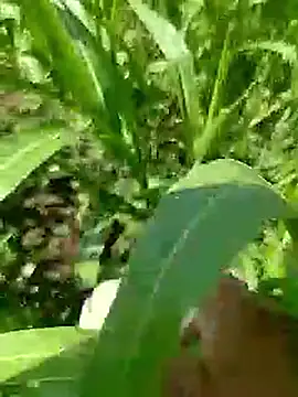 Cute Boy 4 online show from 04.23.26