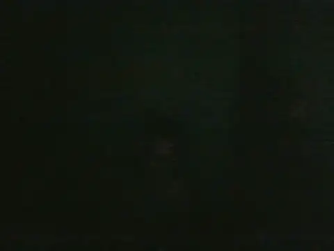 smroy93612 online show from 05.24.26