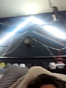 ctguybj online show from 05.31.26