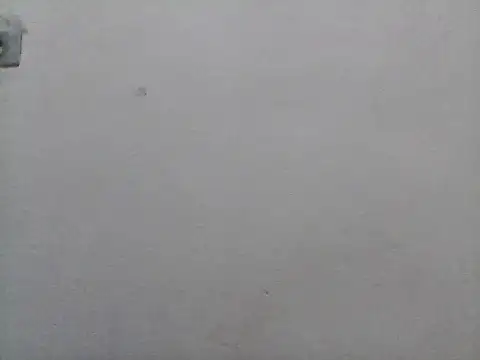 lorraine2036 online show from 02.07.26