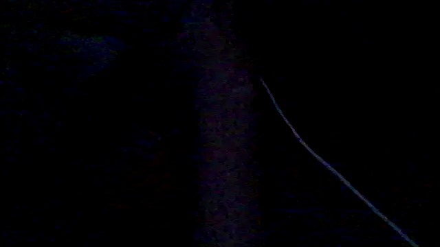 lorraine2036 online show from 02.28.26