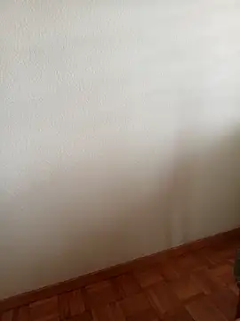 Snapshot of baipal74 chatting on 02.19.26 baipal74 online show from 02.19.26