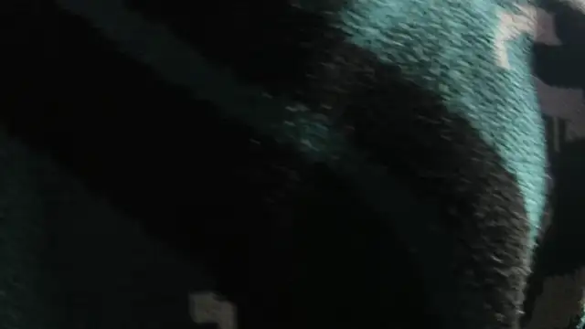 Christopher Hunter online show from 03.22.26