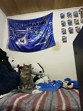 David Banks  online show from 04.29.26
