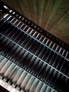 quynhbupbe11 online show from 03.09.26