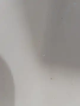 ONixCris online show from 03.13.26