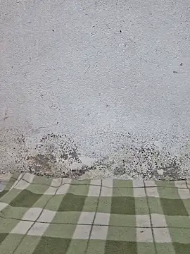 Mey mey2k3 online show from 03.18.26