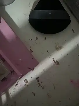 Snapshot of MuMari chatting on 02.03.26 MuMari online show from 02.03.26