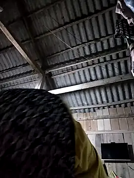 Bella-222 online show from 02.11.26