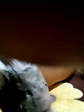 SexfreakN22 online show from 02.11.26