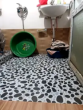 Tulip ii online show from 03.07.26