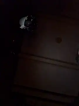 Dutch20Cock online show from 03.12.26