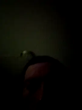 bigbooietx online show from 03.01.26