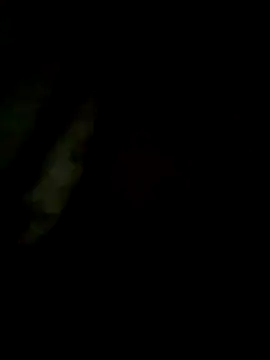 S7LEALTADPERVLIMA7 online show from 05.28.26