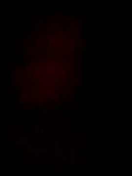 S7LEALTADPERVLIMA7 online show from 06.28.26