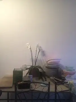 Snapshot of LeonieClaire chatting on 03.24.26 LeonieClaire online show from 03.24.26