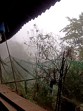 Anna 516 online show from 03.06.26