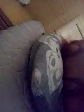 loveofpetitegirls34 online show from 02.21.26