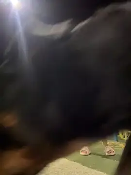 Arya    online show from 02.19.26