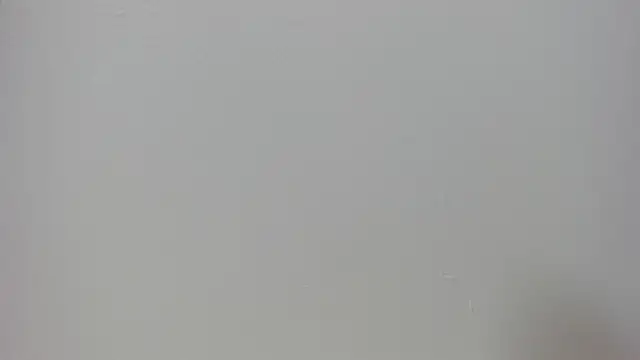 Raven love online show from 04.25.26
