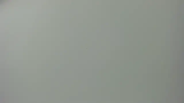 Raven love online show from 04.28.26