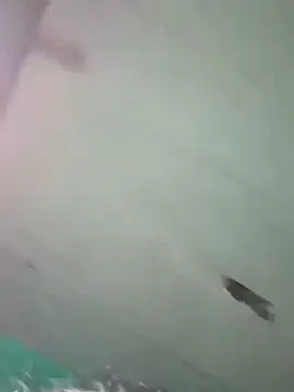 Hot ras28 online show from 02.19.26