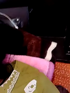 Rajkumari hot qwwen online show from 02.12.26