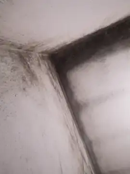 Snapshot of Lamich chatting on 02.13.26 Lamich online show from 02.13.26