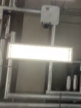 Snapshot of simonshulker chatting on 02.03.26 simonshulker online show from 02.03.26