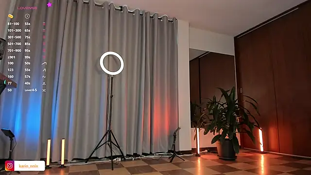 karinnixx online show from 05.04.26