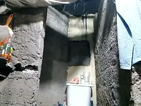 polla large active online show from 04.11.26