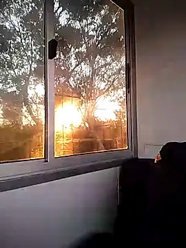 Damian-787 online show from 02.04.26