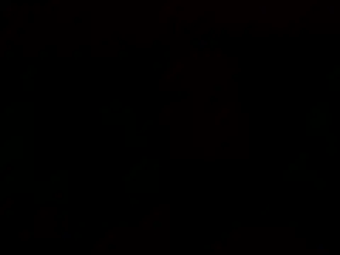 Snapshot of Tommyzzzzzz chatting on 12.29.24 Tommyzzzzzz online show from 12.29.24