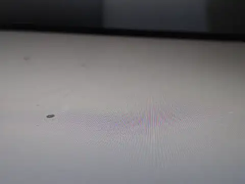 AlyssaBrown online show from 02.21.26