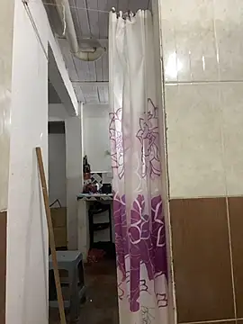 Romie rous online show from 02.14.26